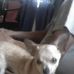 Profile Picture of John Binkley (@john.binkley.52) on Facebook