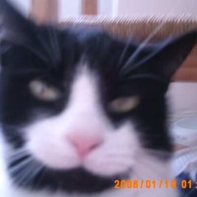 Profile Picture of Chris Allsup (@cjallsup) on Twitter