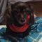 Profile Picture of Patricia Shimko (@patricia.shimko) on Facebook