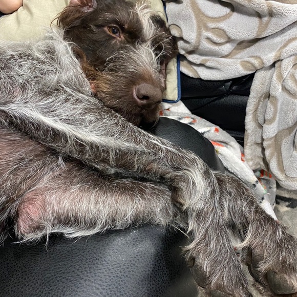 Profile Picture of Tyler Anderson (@tyanders) on Poshmark