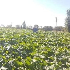 Profile Picture of Nick Warne (@NickWarne9) on Twitter