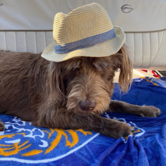 Profile Picture of Karlie Boling (@karlieboling) on Poshmark