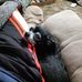 Profile Picture of Richard Newby (@richard.newby.98) on Facebook