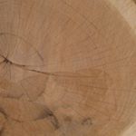 Profile Picture of Philip Erwin (@dallastreeman) on Instagram