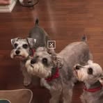 Profile Picture of Darlene Mowbray (@darlene.mowbray) on Facebook