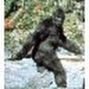 Profile Picture of Nader Mikhail (@nadermikhail449) on Youtube