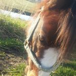 Profile Picture of liene en shelly (@ilja_bella) on Instagram