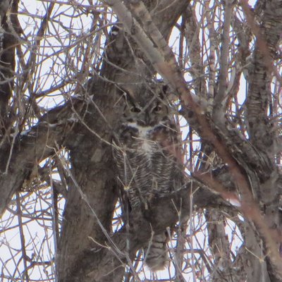 Profile Picture of Jon Collis (@@joncollis) on Twitter