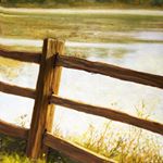 Profile Picture of Aaron Truesdell (@aarontruesdellart) on Instagram