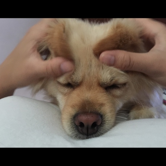 Profile Picture of Kim Kha (@kytk) on Poshmark