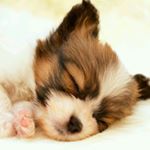 Profile Picture of Steven Lazar (@steven.lazar.925) on Instagram