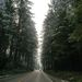 Profile Picture of David43 (@lleras318) on Pinterest