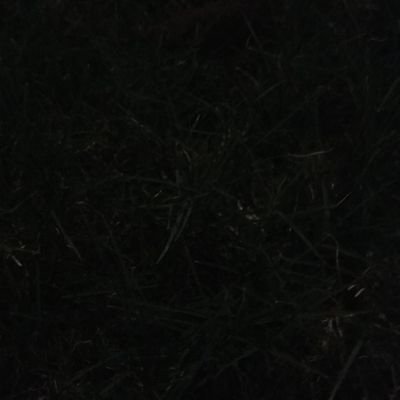 Profile Picture of M Bheemreddy (@MBheemreddy2) on Twitter