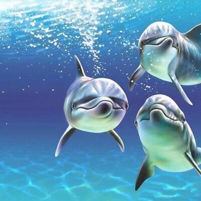 Maria Giuffrida - Twitter Profile Picture of Maria Giuffrida (@giuffrida_maria) on Twitter