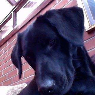 Profile Picture of Josephine Peake (@josephine.peake.5) on Facebook