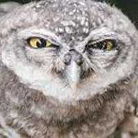 Profile Picture of Uıʇsnſ (@7_rust) on Twitter