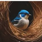 Profile Picture of Jyoti Swastik (@Jyoti-Swastik) on Facebook