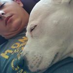 Profile Picture of Jason Plumb (@jason.plumb.180) on Instagram