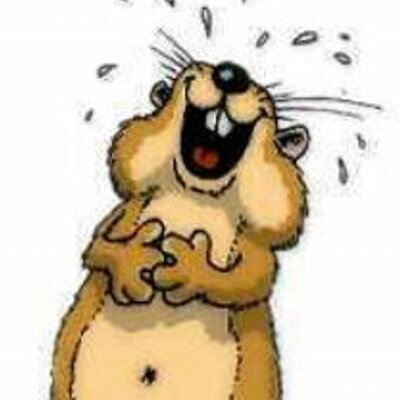 Profile Picture of PAM  SANDER (@PAMSANDER1) on Twitter