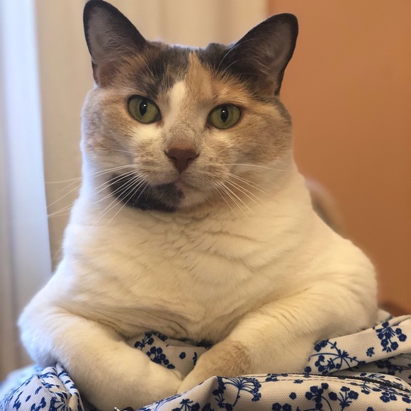 Profile Picture of Megan Leschinsky (@meganl284) on Poshmark