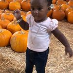 Profile Picture of Robert Gerstle (@gerstlerobert) on Instagram