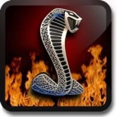 Profile Picture of Benjamin Strasser (@BenjaminStrasse) on Twitter