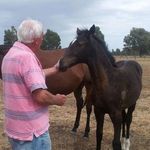 Profile Picture of Robert Lammonby (@robertlammonby) on Instagram