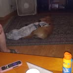 Profile Picture of Darrell Brooks Sr. (@darrellbrookssr) on Facebook