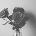 Profile Picture of Jade Bates (@jadbates10) on Pinterest