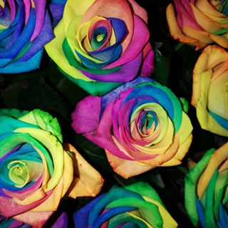 Profile Picture of Daniel Igielski (@daniel.igielski.98) on Facebook