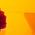 Amielle Clouatre - Flickr Profile Picture of Amielle Clouatre (@amielle clouatre) on Flickr