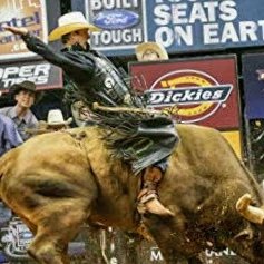 Profile Picture of David Krick (@Davidkrick4) on Twitter