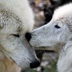 Profile Picture of David Merrington (@merringtondavid) on Instagram