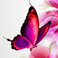 Profile Picture of Isabelle Cunningham (@isabelle-cunningham-1) on Quora