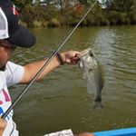 Profile Picture of Chris bertin (@frankthetank995) on Instagram