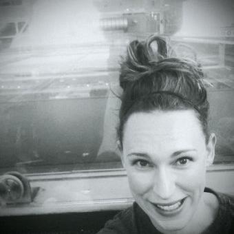 Profile Picture of Cassandra Weiss (@aloha_pdx) on Twitter