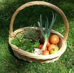 Profile Picture of Rachelle Radonski (@Rachelle-Radonski) on Facebook