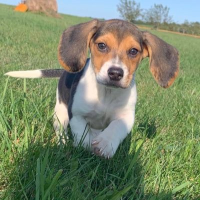 Profile Picture of Andy Shiley (@AndyShiley) on Twitter