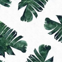 Profile Picture of Amelia Monro (@amelia-monro) on Quora