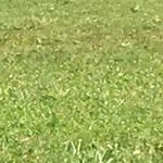 Profile Picture of Roberta🍫 (@robertaw_peace) on Instagram