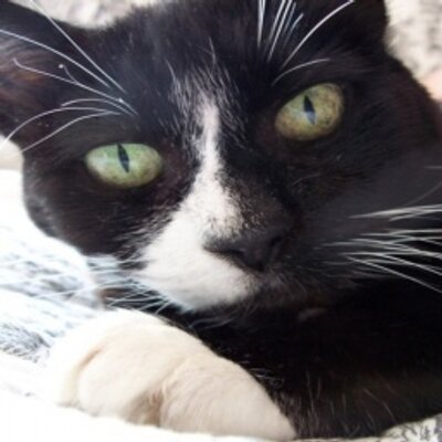 Profile Picture of Dorian Newton (@DorianNewton6) on Twitter