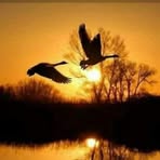 Profile Picture of Marivel Reséndiz Cedillo (@Marivel-Reséndiz-Cedillo) on Facebook