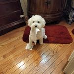 Profile Picture of JoAnn Ray (@joann.ray.50) on Instagram