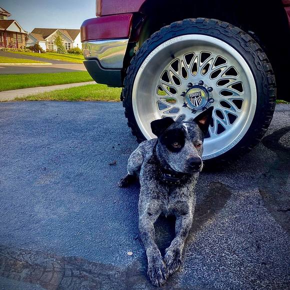 Profile Picture of Jacob Doane (@jjdoane13) on Poshmark