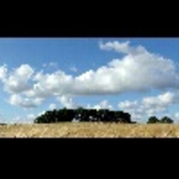 Profile Picture of James Bearden (@jamesbearden) on Poshmark