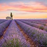 Profile Picture of Gomis Jean Marie (@gomisjeanmarie) on Instagram