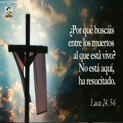 Luz Fátima Vaca Castillo - Twitter Profile Picture of Luz Fátima Vaca Castillo (@LuzFtimaVacaCa1) on Twitter