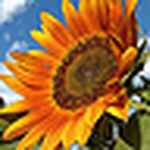 Profile Picture of Alisha Miles (@alishamiles764) on Flickr