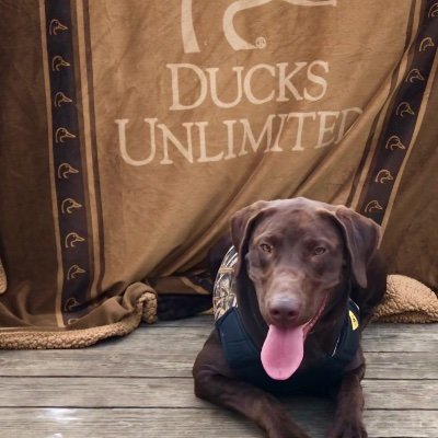 Profile Picture of Jon Lounsbery (@j_lounsbery) on Twitter