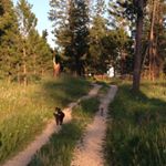 Profile Picture of Cathy McAtee (@graciemylou) on Instagram